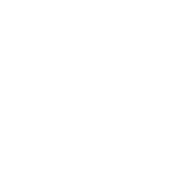 Flexfleet emblem